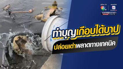 ทำบุญเกือบได้บาป ปล่อยเต่าหงายท้องลงน้ำไปต่อไม่ได้