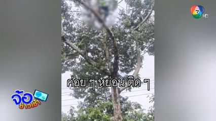 สลด หนุ่มพลาดถูกไฟดูดเสียชีวิตบนต้นทุเรียน สูงกว่า 10 เมตร