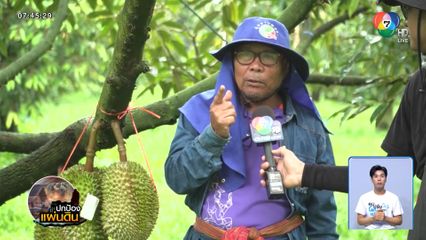 ชายแดนไทย-กัมพูชา ยืดเยื้อกระทบทุเรียนน้ำยืน จ.อุบลราชธานี