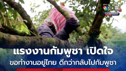 แรงงานกัมพูชา ที่ จ.ตราด เปิดใจ ไม่อยากกลับกัมพูชา อยู่ไทยรายได้ดี สวัสดิการดี