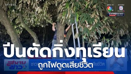 ชาวสวนปีนตัดแต่งกิ่งทุเรียน ถูกไฟดูดเสียชีวิต