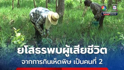 จ.ยโสธร พบผู้เสียชีวิตจากการกินเห็ดพิษเป็นคนที่ 2