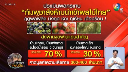 จับตากัมพูชา แบนนำเข้าผลไม้ไทย
