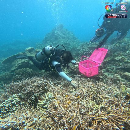 เร่งเคลื่อนย้ายเรือเกยตื้น พร้อมฟื้นฟูปะการัง