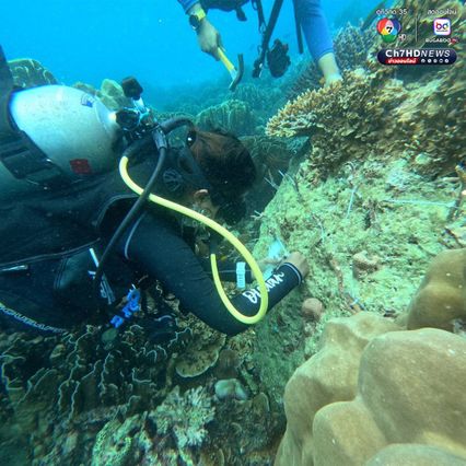 เร่งเคลื่อนย้ายเรือเกยตื้น พร้อมฟื้นฟูปะการัง