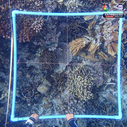 เร่งเคลื่อนย้ายเรือเกยตื้น พร้อมฟื้นฟูปะการัง