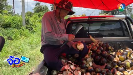 เหมาต้นตาลข้ามปี เก็บผลเฉาะขายริมทาง จ.ขอนแก่น