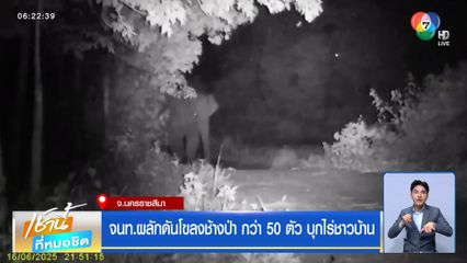 จนท.ผลักดันโขลงช้างป่า กว่า 50 ตัว บุกไร่ชาวบ้าน