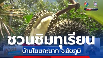 ชวนชิมทุเรียนบ้านโนนกะบาก จ.ชัยภูมิ