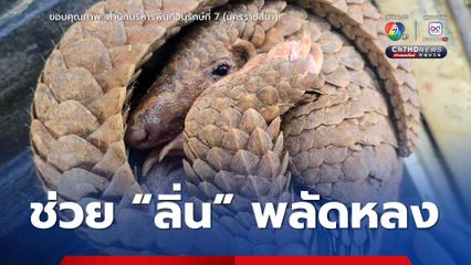 ชาวบ้านพบ "ลิ่น" พลัดหลง เจ้าหน้าที่ให้ดูแลเบื้องต้น ก่อนนัดมอบนำไปปล่อยคืนสู่ธรรมชาติ