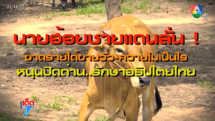 นายฮ้อยชายแดน ยอมสละรายได้เพื่อชาติ