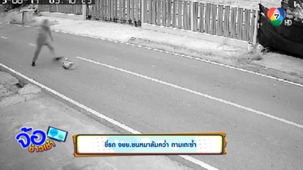 ขี่รถ จยย.ชนหมาล้มคว่ำ ตามเตะซ้ำ