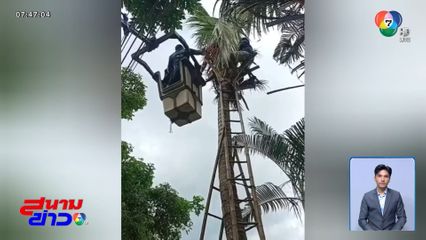 ปีนตัดทางมะพร้าว ถูกไฟช็อกสลบคาต้น จ.นครศรีธรรมราช