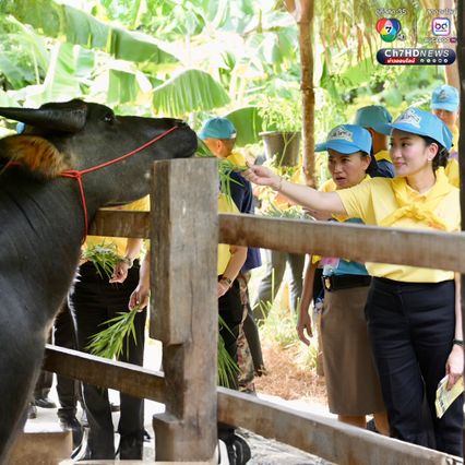 นายกฯ แพทองธาร ดูงานศูนย์ฝึกโรงเรียนจิตอาสา 904 เข้าฐานการเอาตัวรอดในสถานการณ์วิกฤตและอุบัติเหตุหมู่ เรียนรู้การพึ่งพาตัวเอง สีหน้าผ่อนคลายขึ้น
