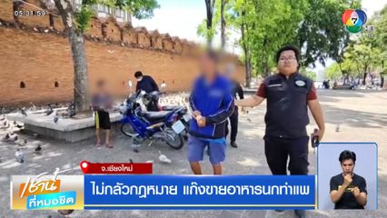 ไม่กลัวกฎหมาย แก๊งขายอาหารนกท่าแพ