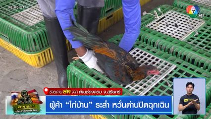 ผู้ค้า ไก่บ้าน ระส่ำ หวั่นด่านปิดฉุกเฉิน