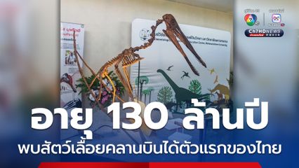 ค้นพบ “การูแดปเทอรัส บุฟโตติ” สัตว์เลื้อยคลานบินได้ตัวแรกของไทย อายุประมาณ 130 ล้านปี