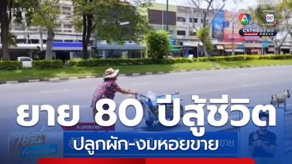 สู้ชีวิต ยาย อายุ 80 ปี ปลูกผัก-งมหอยขาย