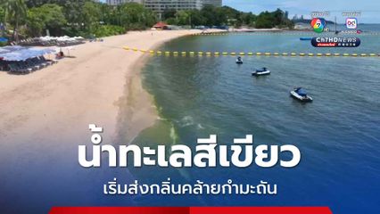 น้ำทะเลสีเขียว เริ่มส่งกลิ่นคล้ายกำมะถัน