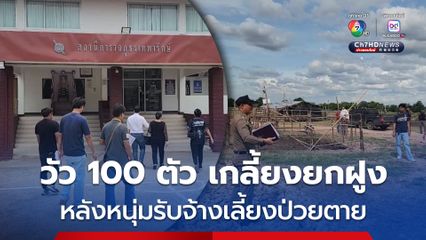 เจ้าของโร่แจ้งตำรวจ หนุ่มรับจ้างเลี้ยงวัวป่วยตายกะทันหัน วัวนับ 100 ตัว หายเกลี้ยงยกฝูง