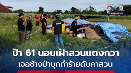 ช้างป่าเขาอ่างฤาไน บุกทำร้ายป้าวัย 61 เสียชีวิต ขณะนอนเฝ้าสวนแตงกวา 