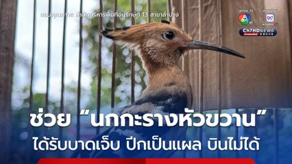 เจ้าหน้าที่เข้าช่วย “นกกะรางหัวขวาน” บาดเจ็บมีแผลที่ปีกขวา นำไปรักษาและเตรียมปล่อยคืนสู่ธรรมชาติ