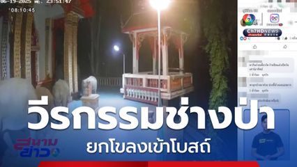 ช้างป่ายกโขลงเข้าโบสถ์