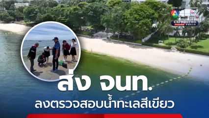 เมืองพัทยาส่งเจ้าหน้าที่ลงตรวจสอบน้ำทะเลสีเขียว หลังเกิดปรากฏการณ์แพลงก์ตอนบลูม ชายหาดวงศ์อมาตย์