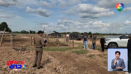 วัวนับร้อยตัว ล่องหนปริศนา