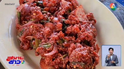 ระวัง ไข้หมูดิบ กำลังระบาด