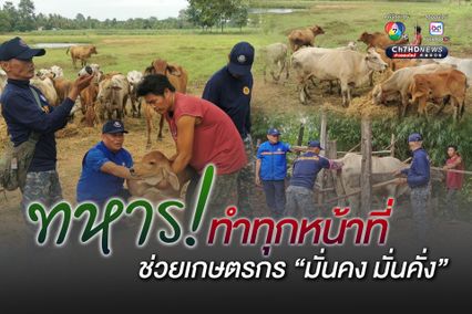เป็นทุกอย่างให้ทุกคนจริงๆ! ทหาร ลงพื้นที่ “พัฒนาปรับปรุงสายพันธุ์โคเนื้อลูกผสม ผสมเทียม”