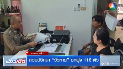สอบปริศนา วัวหาย ยกฝูง 116 ตัว