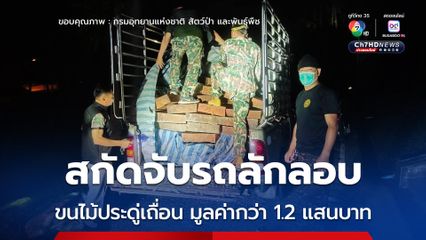 อุทยานฯ ออบหลวง​ ร่วมมืออุทยานฯ แม่โถ สกัดจับรถลักลอบขนไม้ประดู่เถื่อน มูลค่ากว่า 1.2 แสนบาท