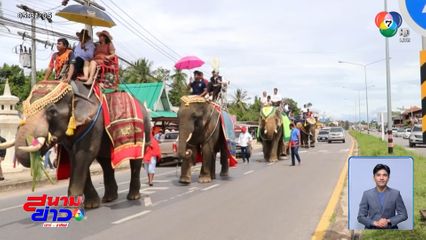 งานช้างของจริง