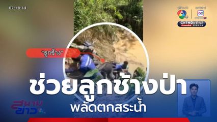ช่วยลูกช้างป่า พลัดตกสระน้ำ