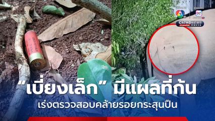เร่งตรวจสอบ ช้างป่า "เบี่ยงเล็ก" มีรอยปริศนาบนตัวคล้ายถูกยิง หากพบเป็นรอยกระสุนปืนจะเอาผิดถึงที่สุด