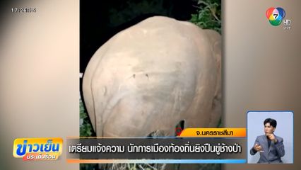 เตรียมแจ้งความ นักการเมืองท้องถิ่นยิงปืนขู่ช้างป่า