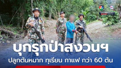 บุกรวบชายบุกรุกป่าแผ้วถางป่าสงวนฯ ปลูกต้นหมาก ทุเรียน และกาแฟ รวมกว่า 60 ต้น