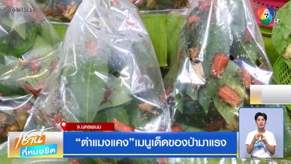 ตำแมงแคง เมนูเด็ดของป่ามาแรง