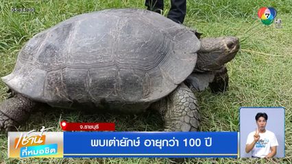 พบเต่ายักษ์ อายุกว่า 100 ปี