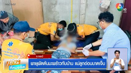พายุพัดต้นมะพร้าวทับบ้าน แม่ลูกอ่อนบาดเจ็บ