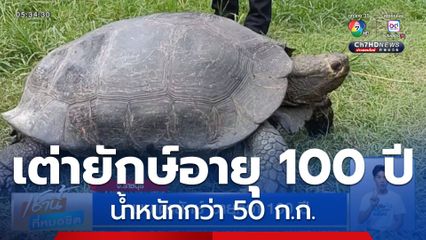 พบเต่ายักษ์ อายุกว่า 100 ปี