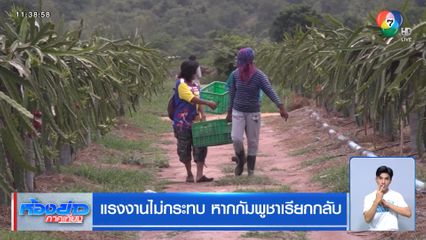 แรงงานไม่กระทบ หากกัมพูชาเรียกกลับ