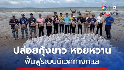 เมืองพัทยาร่วมกรมประมง ปล่อยพันธุ์กุ้งขาว หอยหวาน 500,000 ตัว สู่ทะเลหาดจอมเทียน เพื่อฟื้นฟูระบบนิเวศทางทะเล