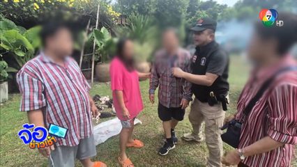 เจ้าของไก่ชนเดือด สุนัขกัดไก่ตาย 26 ตัว