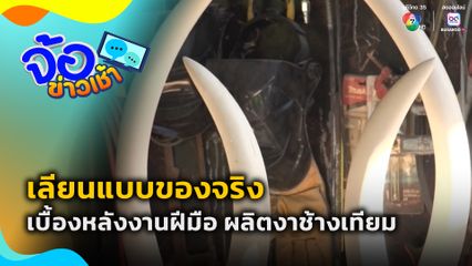 ผลิตงาช้างเทียม โกอินเตอร์