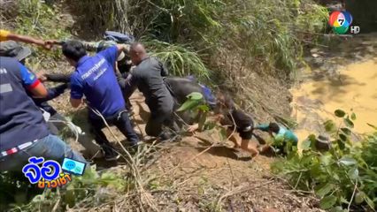 พลังสามัคคี ช่วยชีวิตลูกช้างตกสระน้ำ