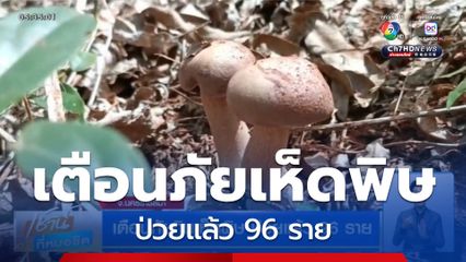 เตือนภัยกินเห็ดพิษ ป่วยแล้ว 96 ราย