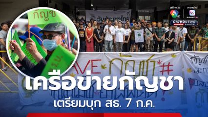เครือข่ายกัญชาระเบิดศึกเดือด นัด บุกกระทรวงสาธารณสุข 7 ก.ค.