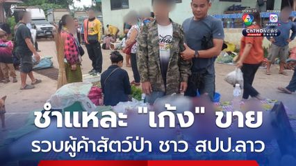 รวบผู้ค้าสัตว์ป่า บริเวณชายแดน สปป.ลาว ยึดซากสัตว์ป่าคุ้มครองเตรียมจำหน่ายเพียบ 